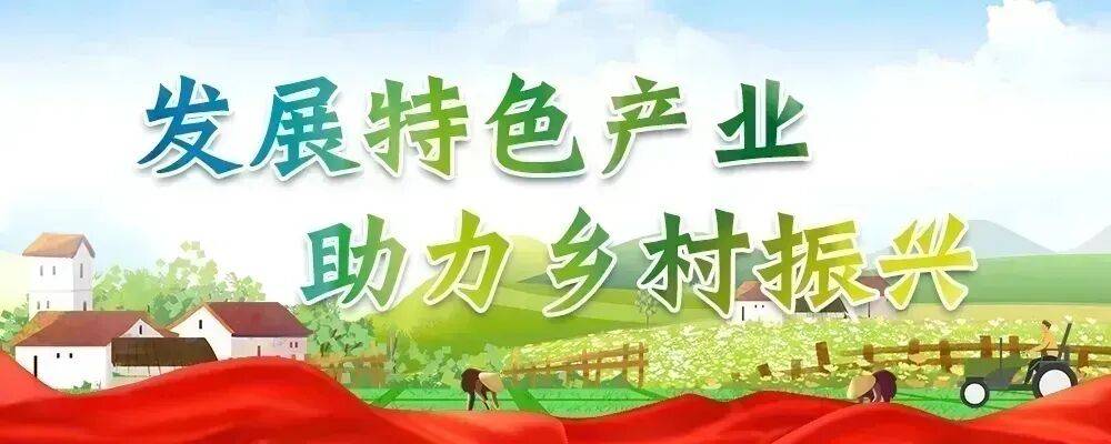 农来农往电商